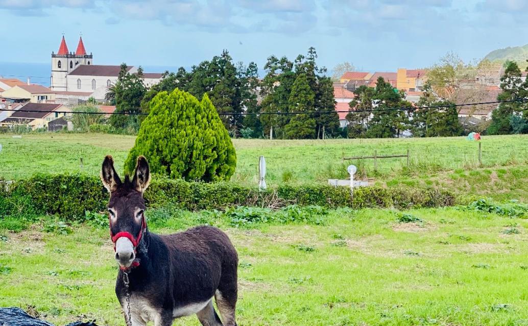 Quinta Do Avo Dimas - Rural Home - Sao Bras Porto Formoso Eksteriør bilde
